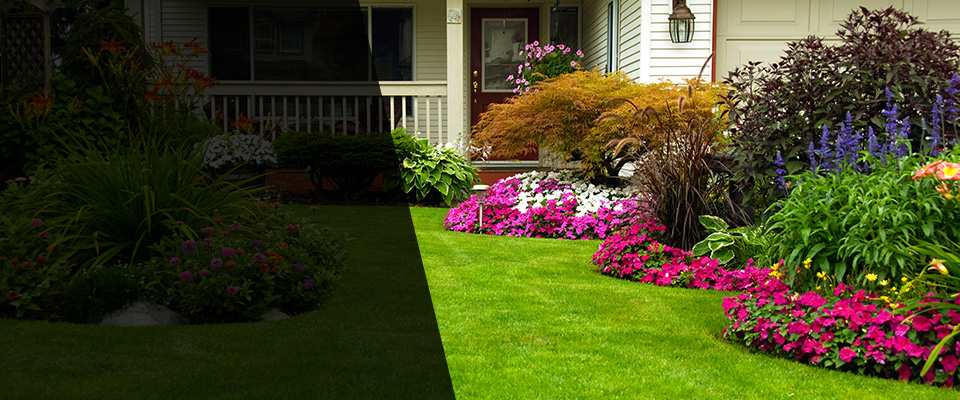 Cotulla Landscapers