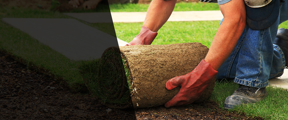 Cotulla Landscapers